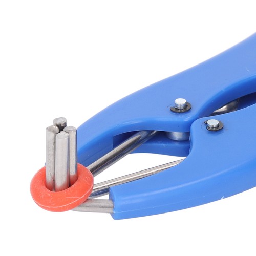 Castration bander stainless - castration,