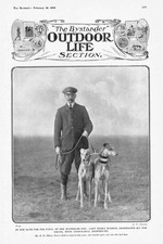 COURSING The 1909 Waterloo Cup winner, Dendraspis - Antique Print 1910