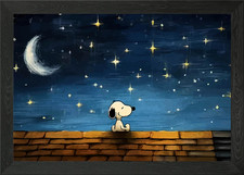 Snoopy under the starry night