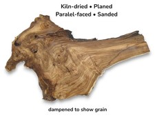 Japanese Pagoda Tree Root Wood