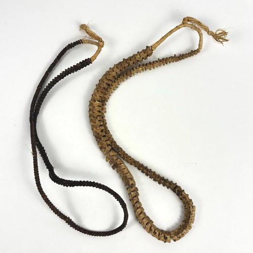 Vintage real snake vertebrae - vintage,