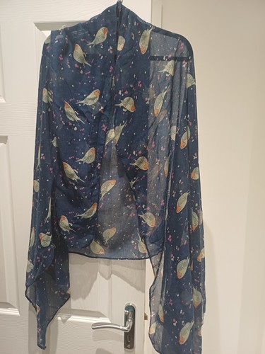 Navy blue and - blue, robin