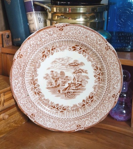 Ridgways grecian brown white - &,