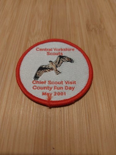 Scouting chief scouts visit - uk,