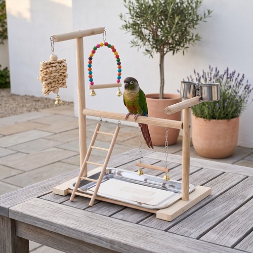 Wooden parrot play gym - wooden,