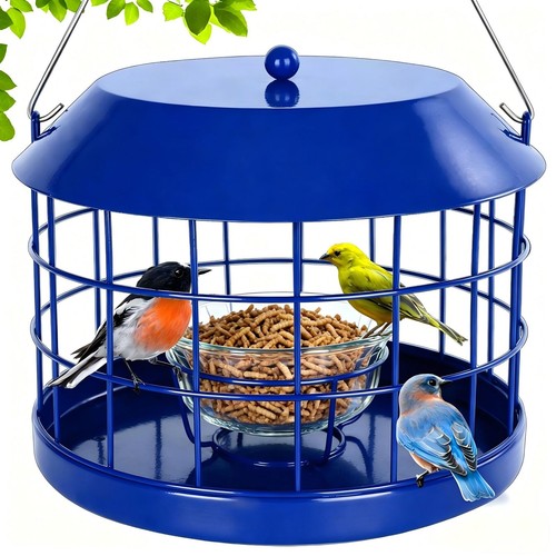 Caged bluebird feeder - bluebird,