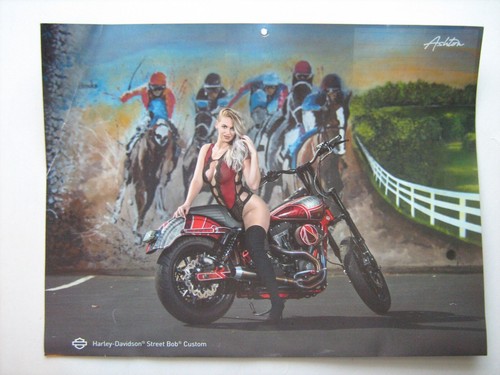2020 harley davidson - harley-davidson, street