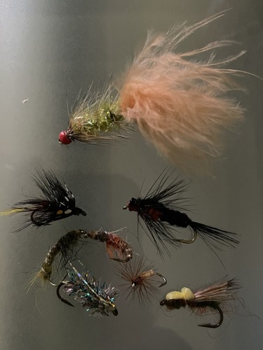 Job lot fishing flies - job,