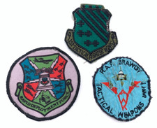 RAF Patches, Tactical Weapons Unit and Rapid Deployment Force