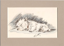 Lucy Dawson ~ West Highland Terrier ~ Hand Coloured Print Genuine Vintage 1937