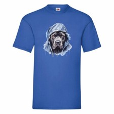 Cane Corso In A Hoodie T Shirt Small-2XL