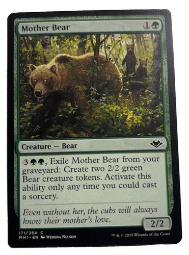 Mother bear 171 - mother, common