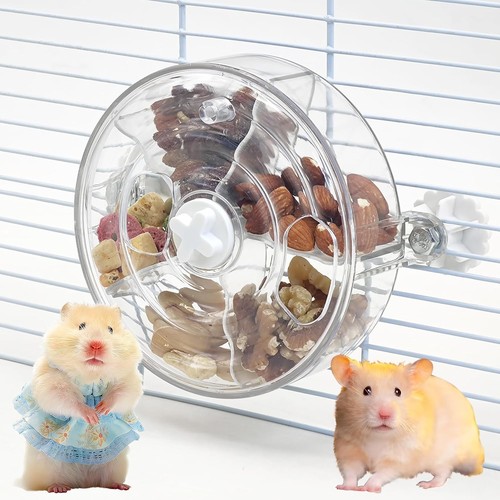 Vcepjh rat foraging - rat,