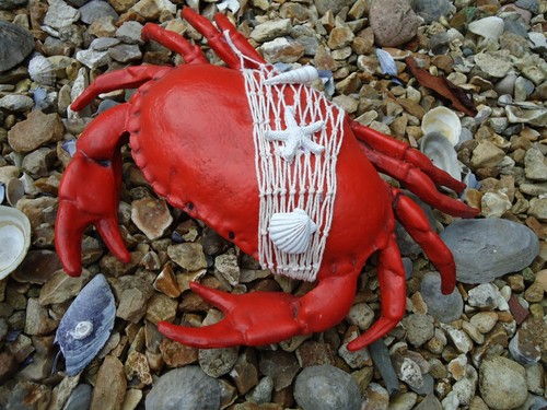 Large red crab display model - large,