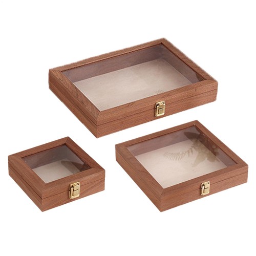 Insect collecting box - collecting,