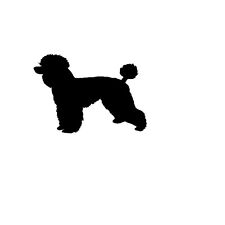 I Love Poodle dog Socks, Poodle Dogs Owners Socks Novelty Gift