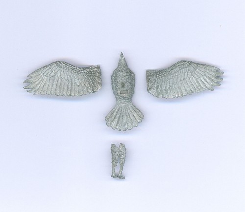 Fantasy giant eagle hawk from - giant,