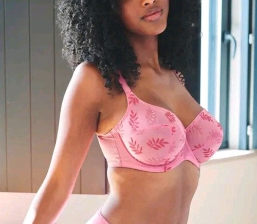 Underwear bras lingerie - underwear,