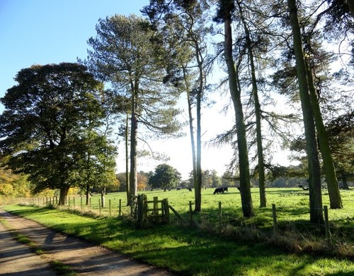 Photo 6x4 entrance road - photo,