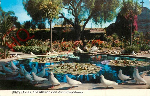 Picture postcard old mission - old,