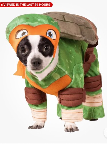 Rubie michelangelo dog - michelangelo,