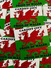 25 x Cardiff City FC Stickers