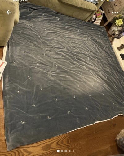 Graham green large velvet - graham, &