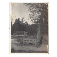 PURLEY Surrey The Village Stocks - Vintage Photograph c1925
