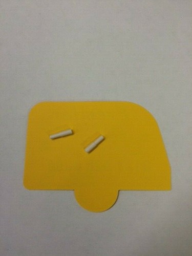 Spare hinge pins for carver - spare,