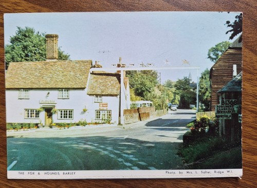 The fox hounds flowers - &,