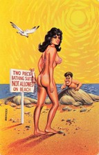 Vintage saucy seaside postcard - vintage,