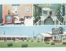 1950's OLD CARS & EL JENKINS