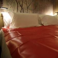 PVC Bed Sheet King Size Rubber Fitted Waterproof WetPlay Couples Love Sex Pillow