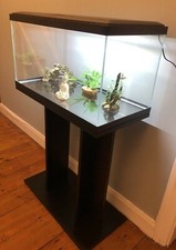 Brand new fish - **brand, tank