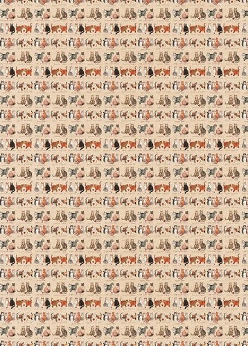 Single sheet charismatic cats - single,