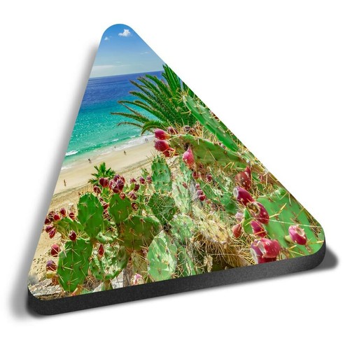 Triangle mdf magnets - triangle,