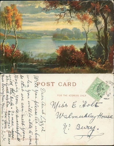 Country rural lake scene - lake,