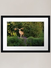 Giant framed art print - giant?,