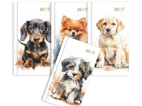 2027 pocket diary - 2027,