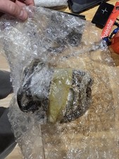 Suzuki TL1000R Alternator