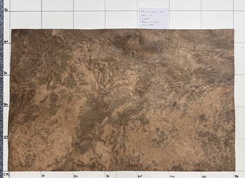 English walnut burr - english, 4
