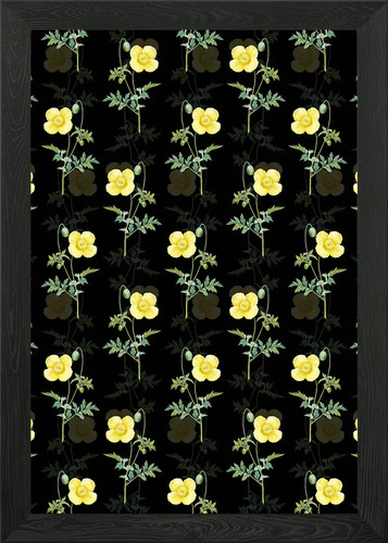 Floral welsh poppy pattern - floral,