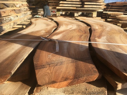 Rare elm hardwood - rare,