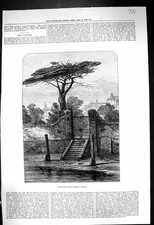 Old 1873 Fine Art River Gate Botanic Garden Chelsea Thames Embankment Victorian