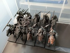Warhammer Fantasy Marauder