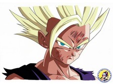 Dragon Ball Son Gohan Cel