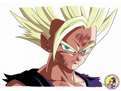 Dragon ball son gohan cel - ball,