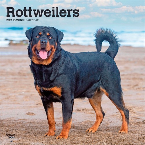 Rottweilers 2027 12x24 - rottweilers, 12x24"