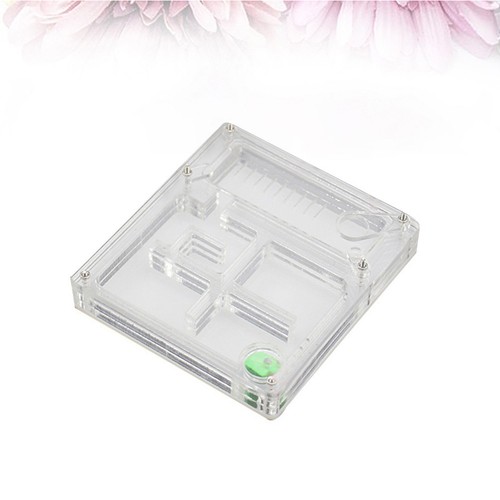 Creative ant hydrating box - creative,