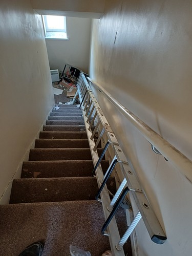 Roof cat ladder - ladder.,